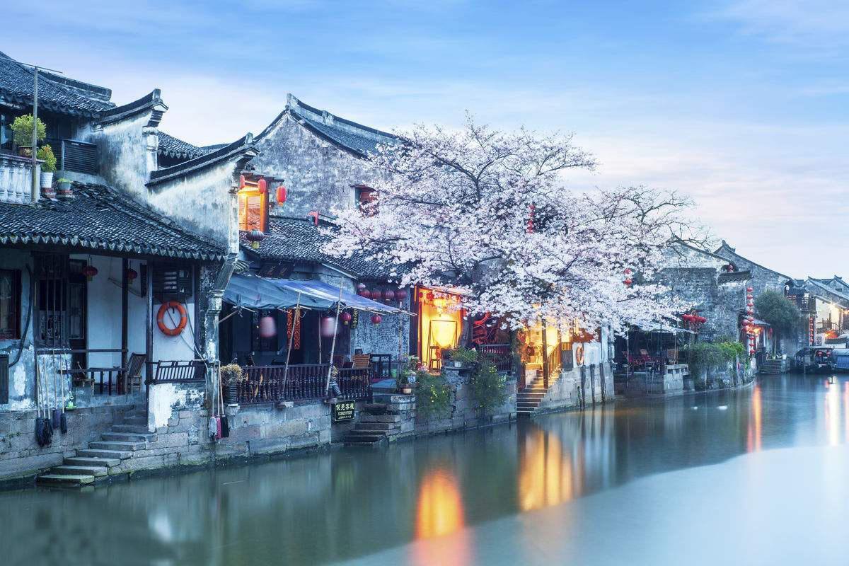 红树林逃生