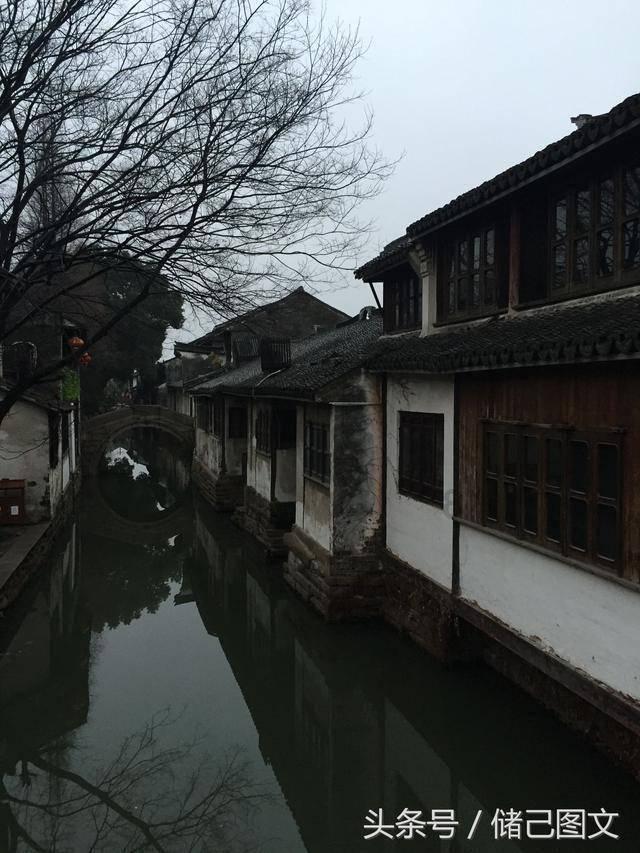 孤独的流浪者救援